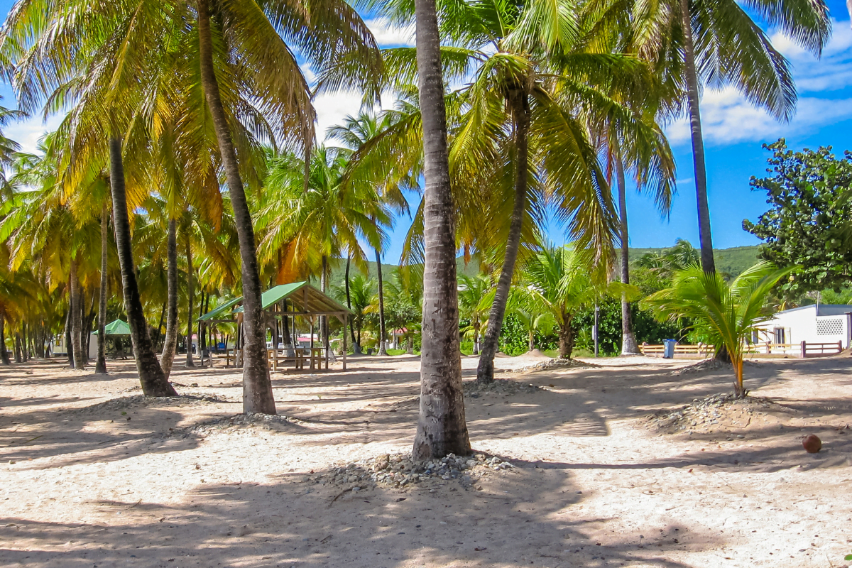 guadeloupe en janvier 2