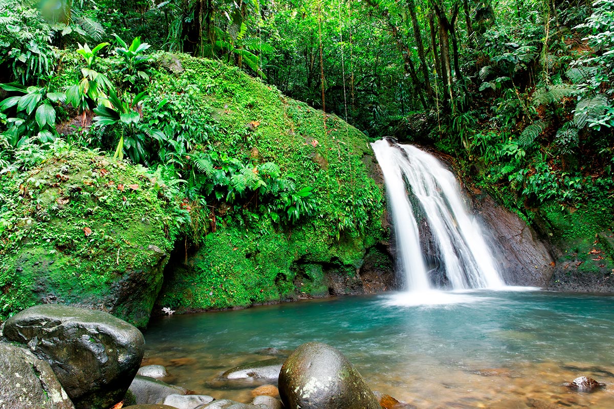 liste des cascades en martinique