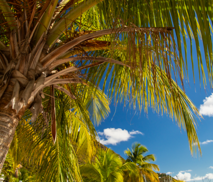 partir a saint barthelemy