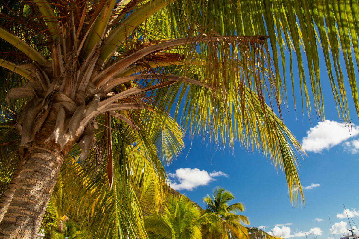 partir a saint barthelemy