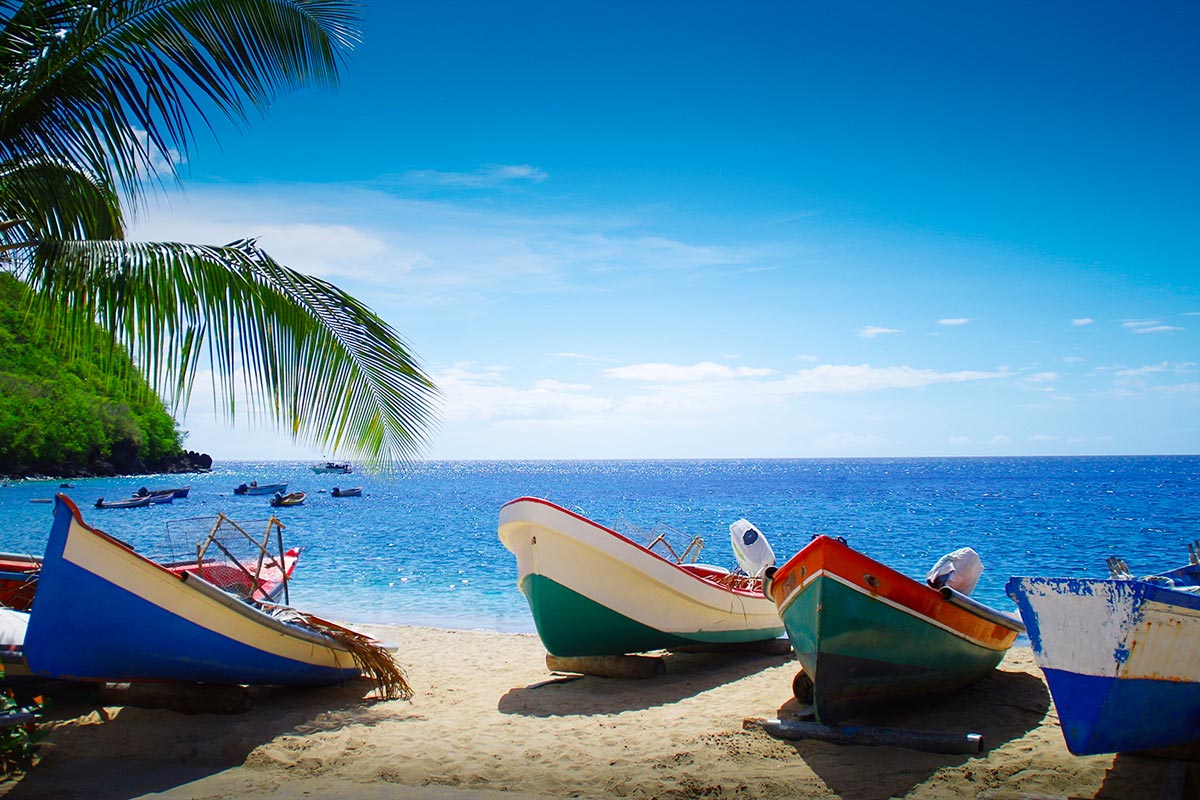 quand partir martinique