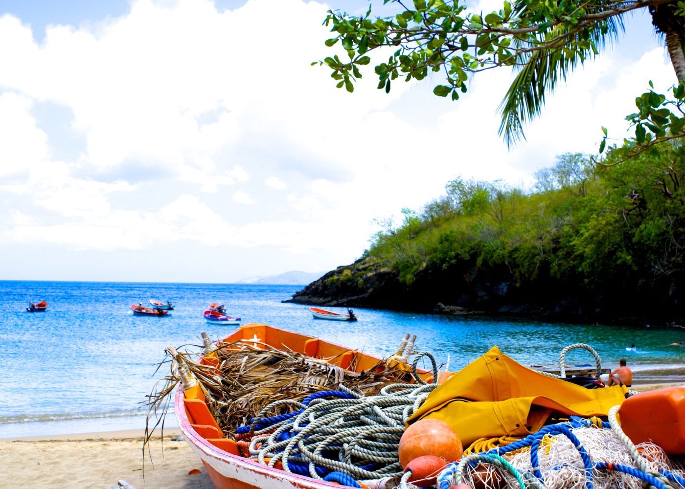 activites martinique