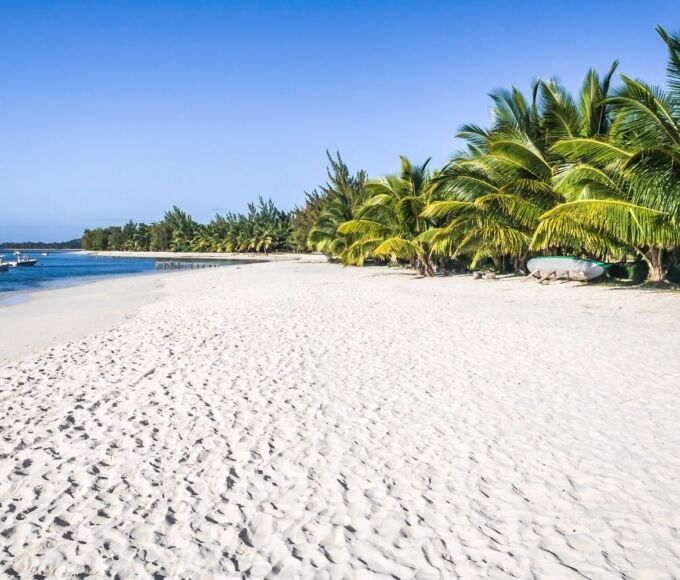 activites martinique2