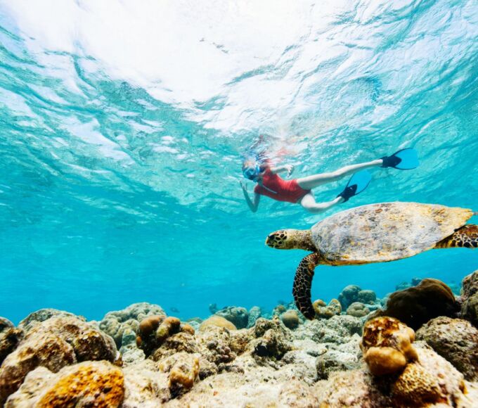 choses a faire antilles