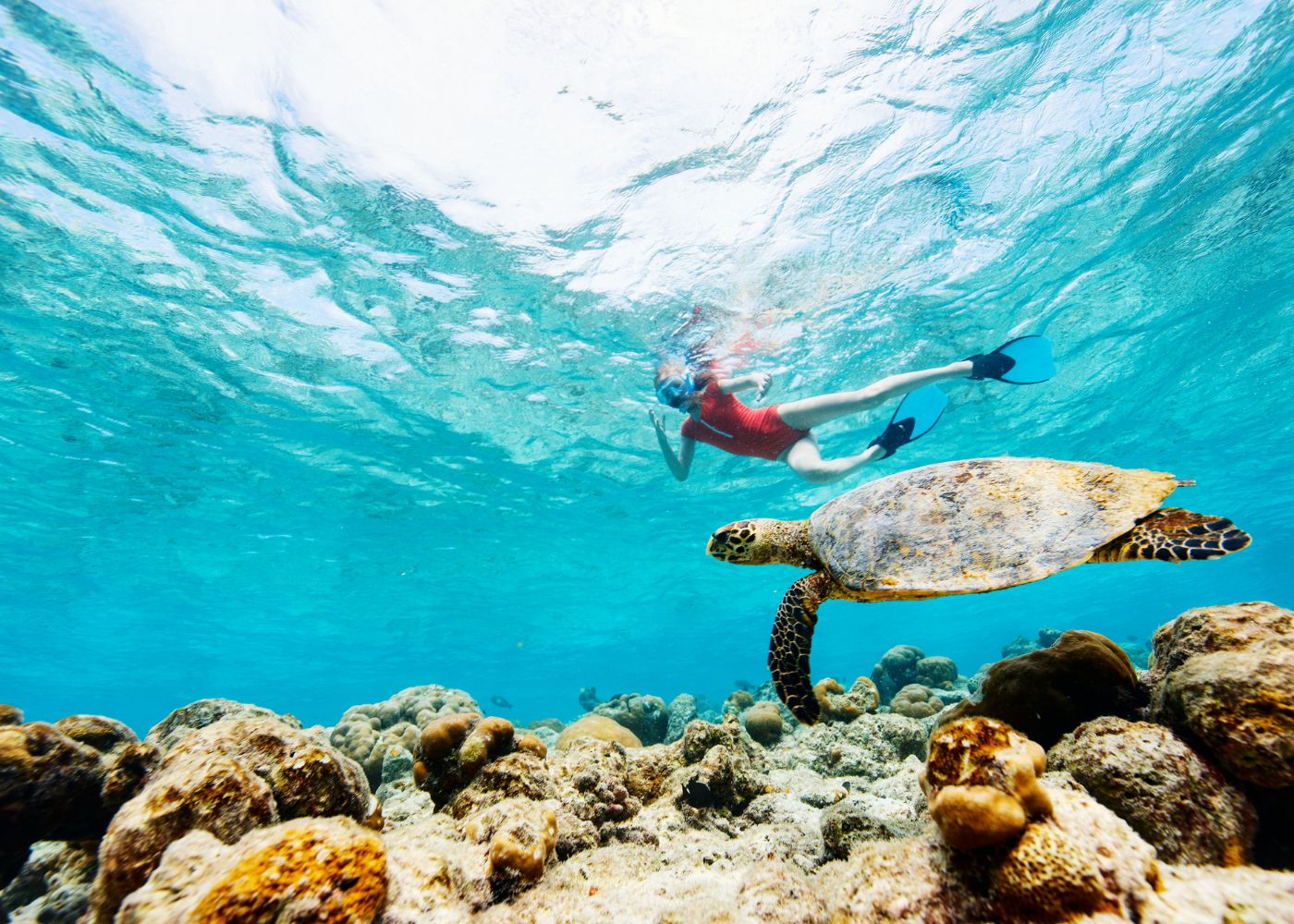 choses a faire antilles