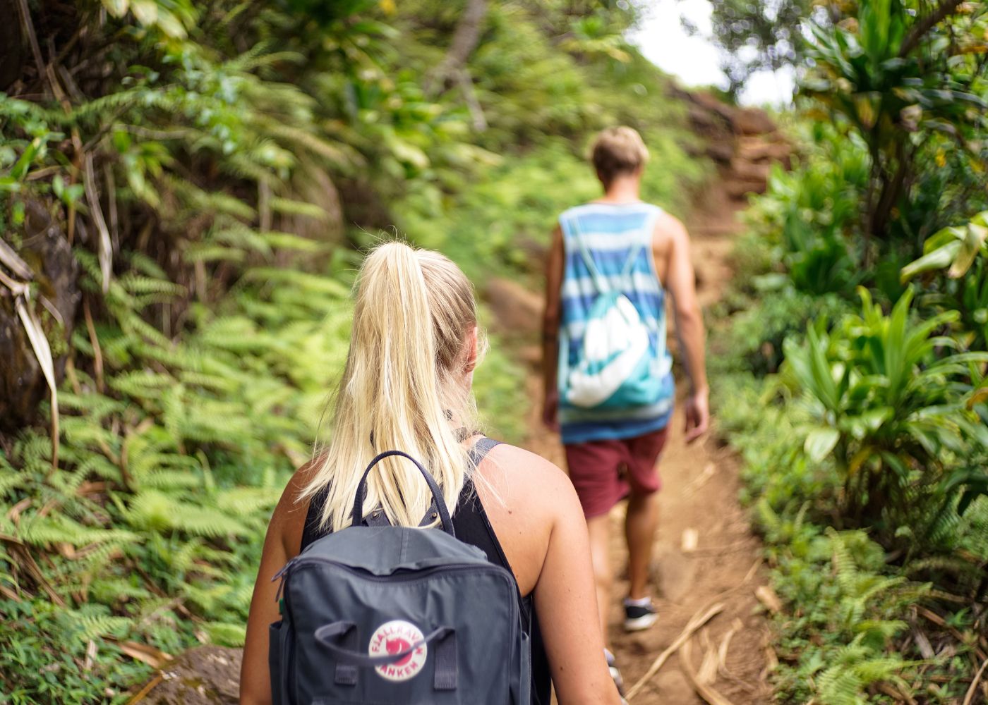 sentiers randonnee guadeloupe