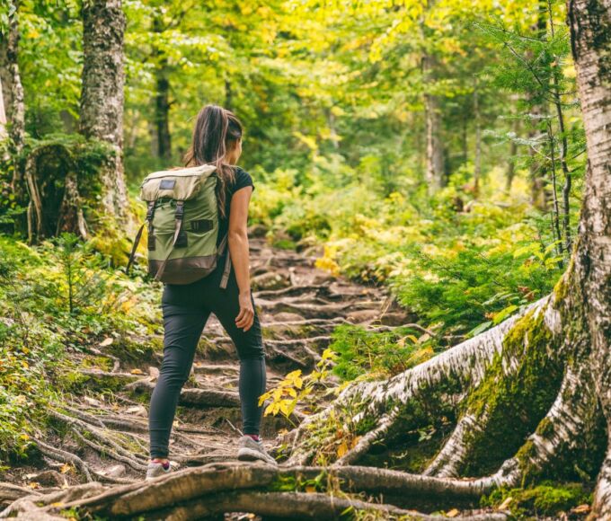 sentiers randonnee guadeloupe2