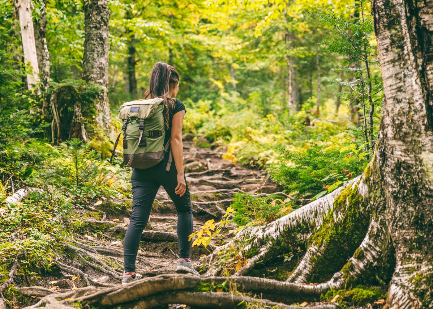sentiers randonnee guadeloupe2