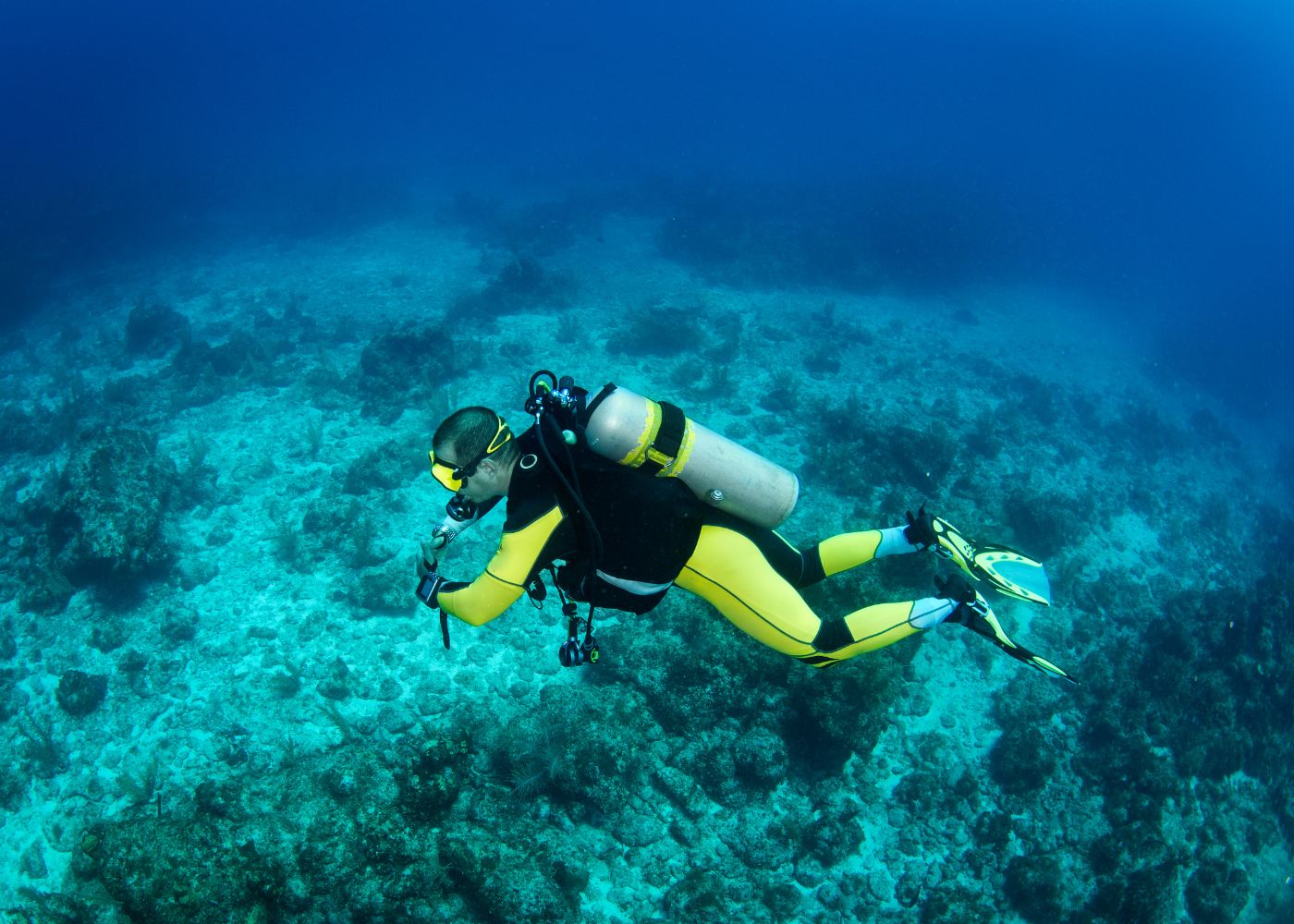 Guadeloupe dive sites