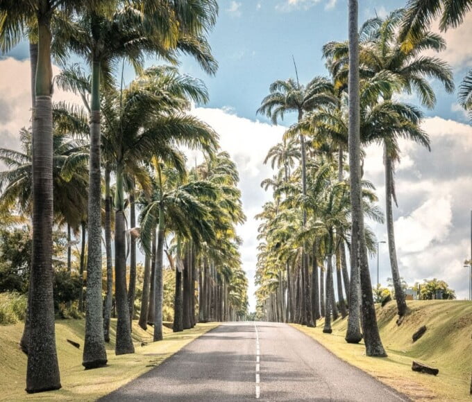 voiture guadeloupe