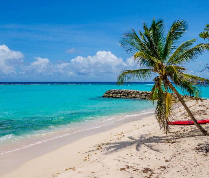 decouverte guadeloupe