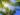 expatrier antilles