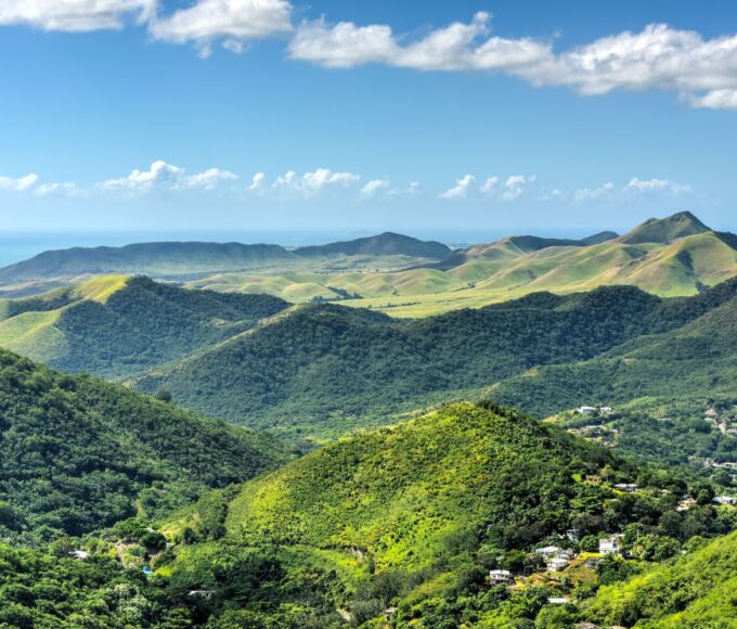 faune sauvage antilles2