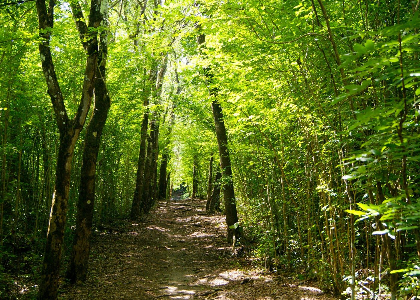 martinique randonnee incontournable2