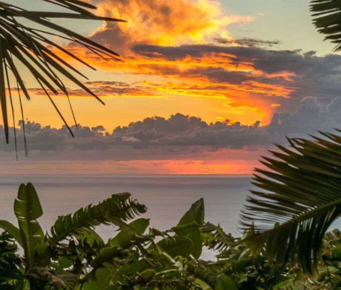 paradis saint barthelemy2