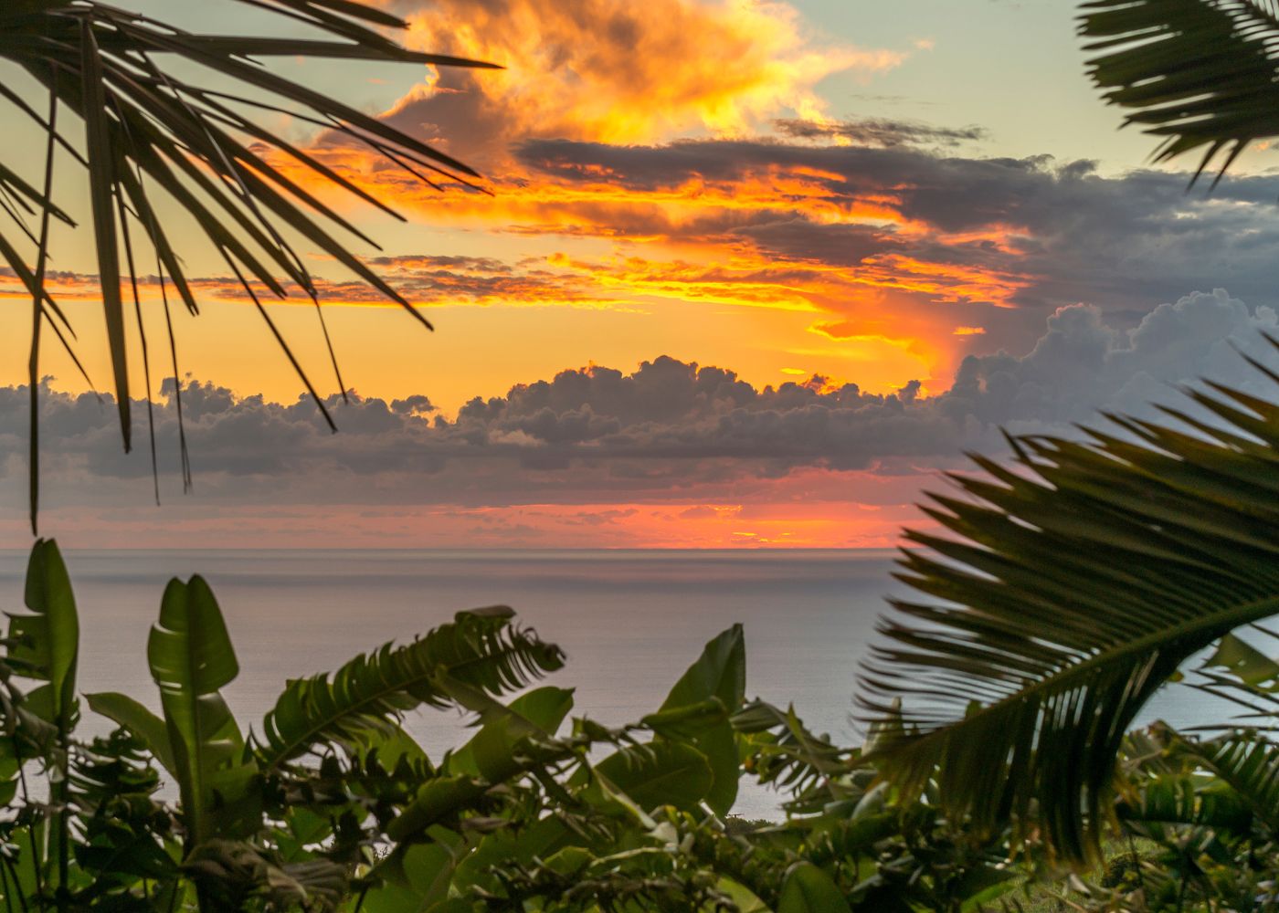 paradis saint barthelemy2