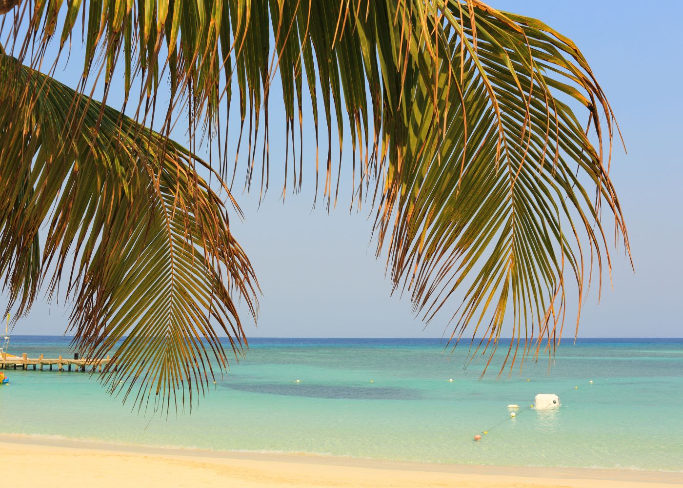 plus belles plages des antilles