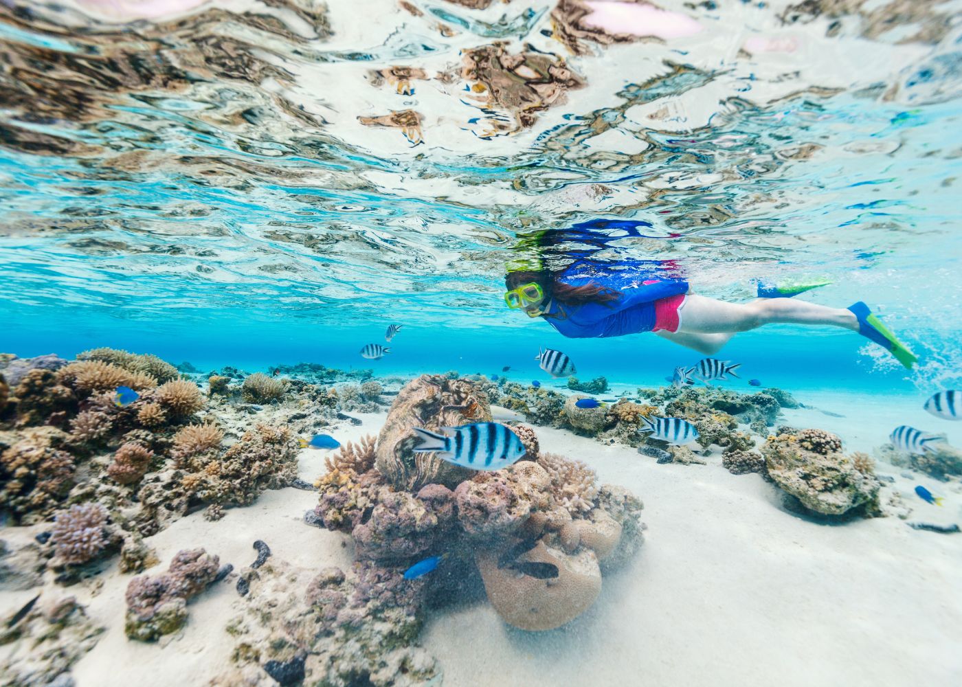 snorkeling saint martin