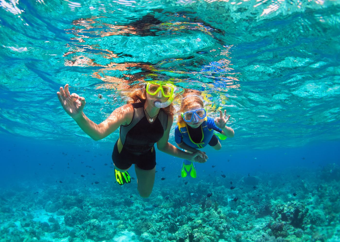 snorkeling saint martin2