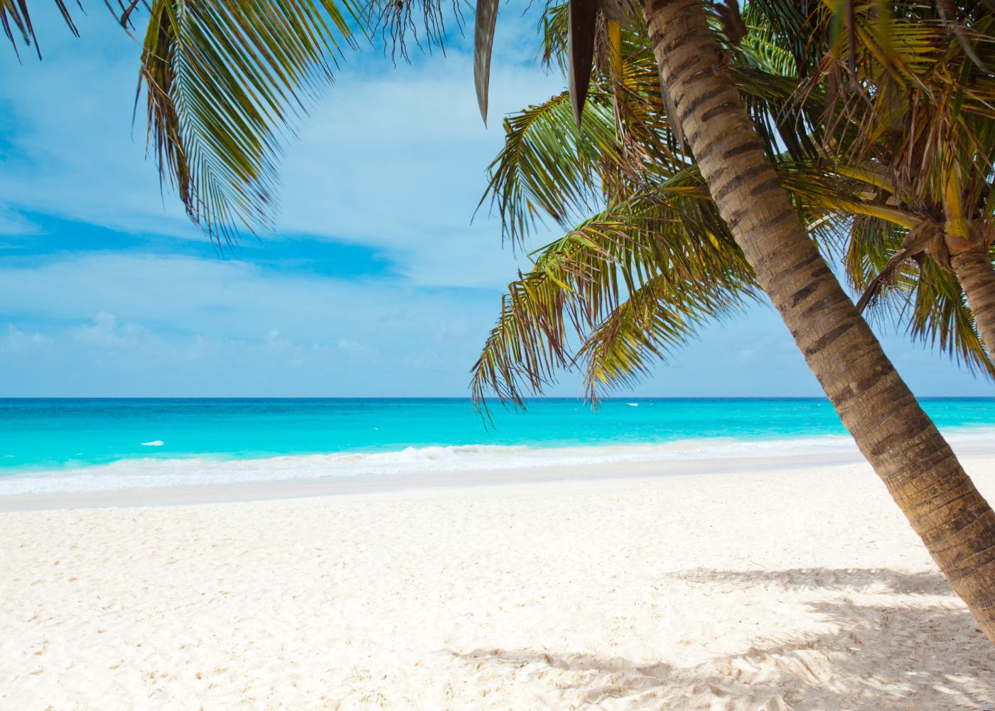 5 raisons partir antilles 2023