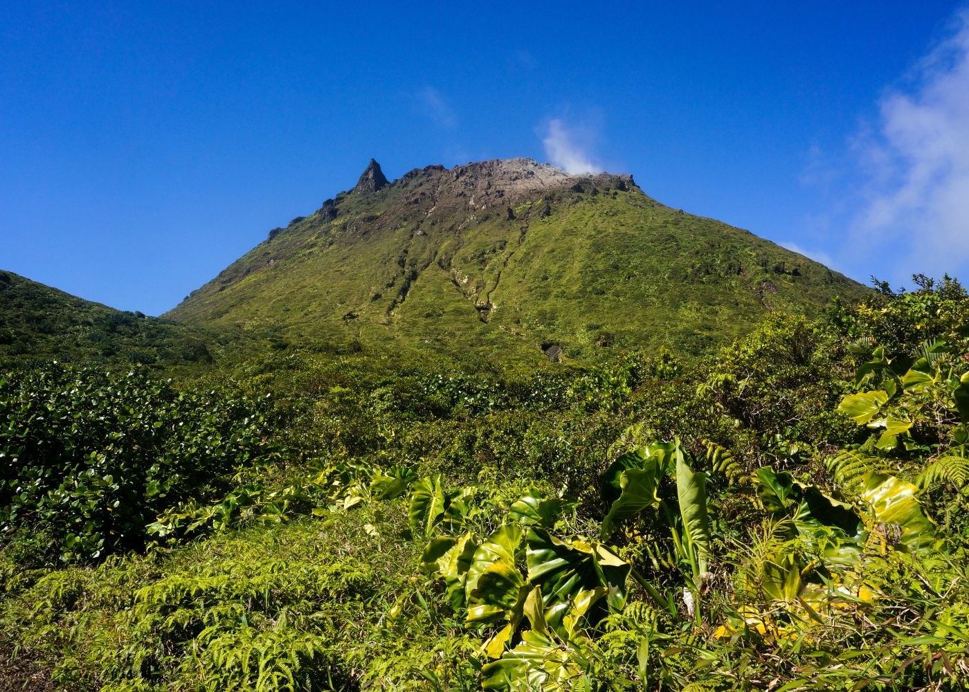 activites a faire guadeloupe2