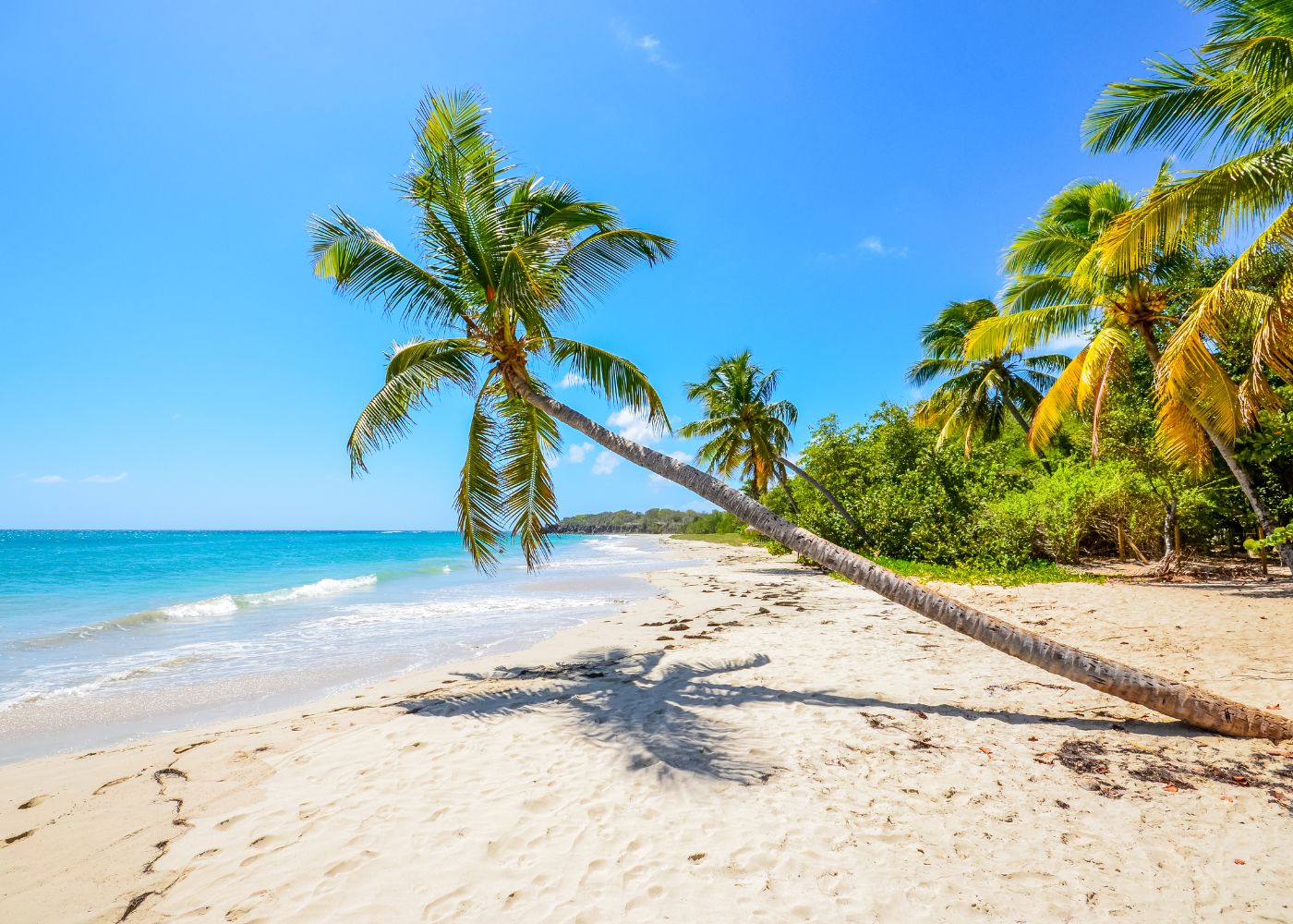 belles plages de martinique2