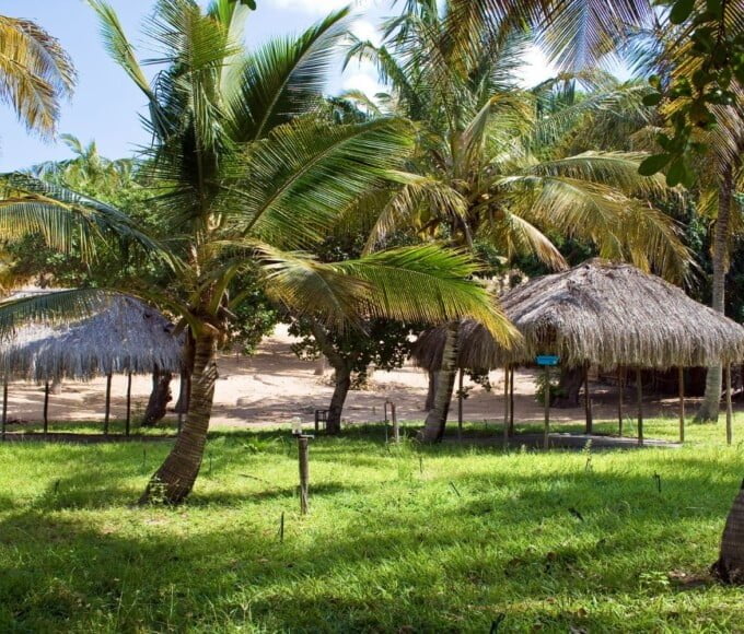 choisir camping guadeloupe