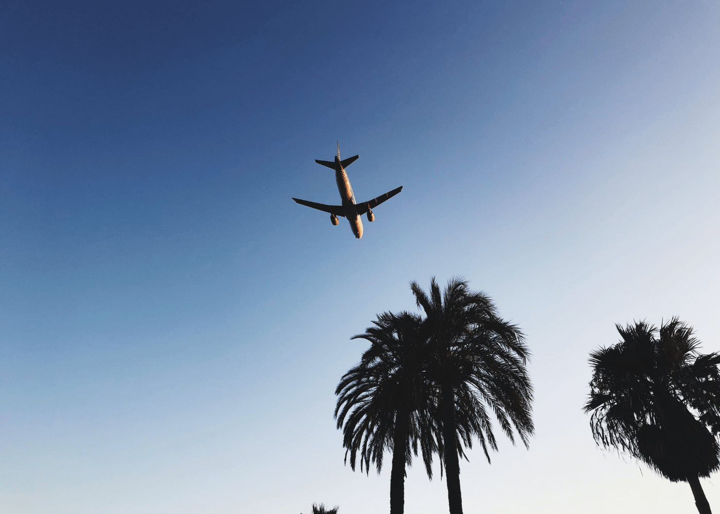 formule vol hotel saint martin1