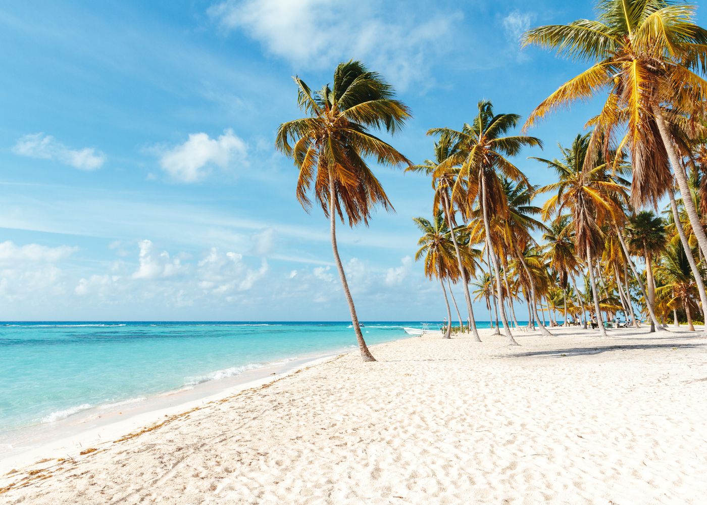 hors saison caraibes