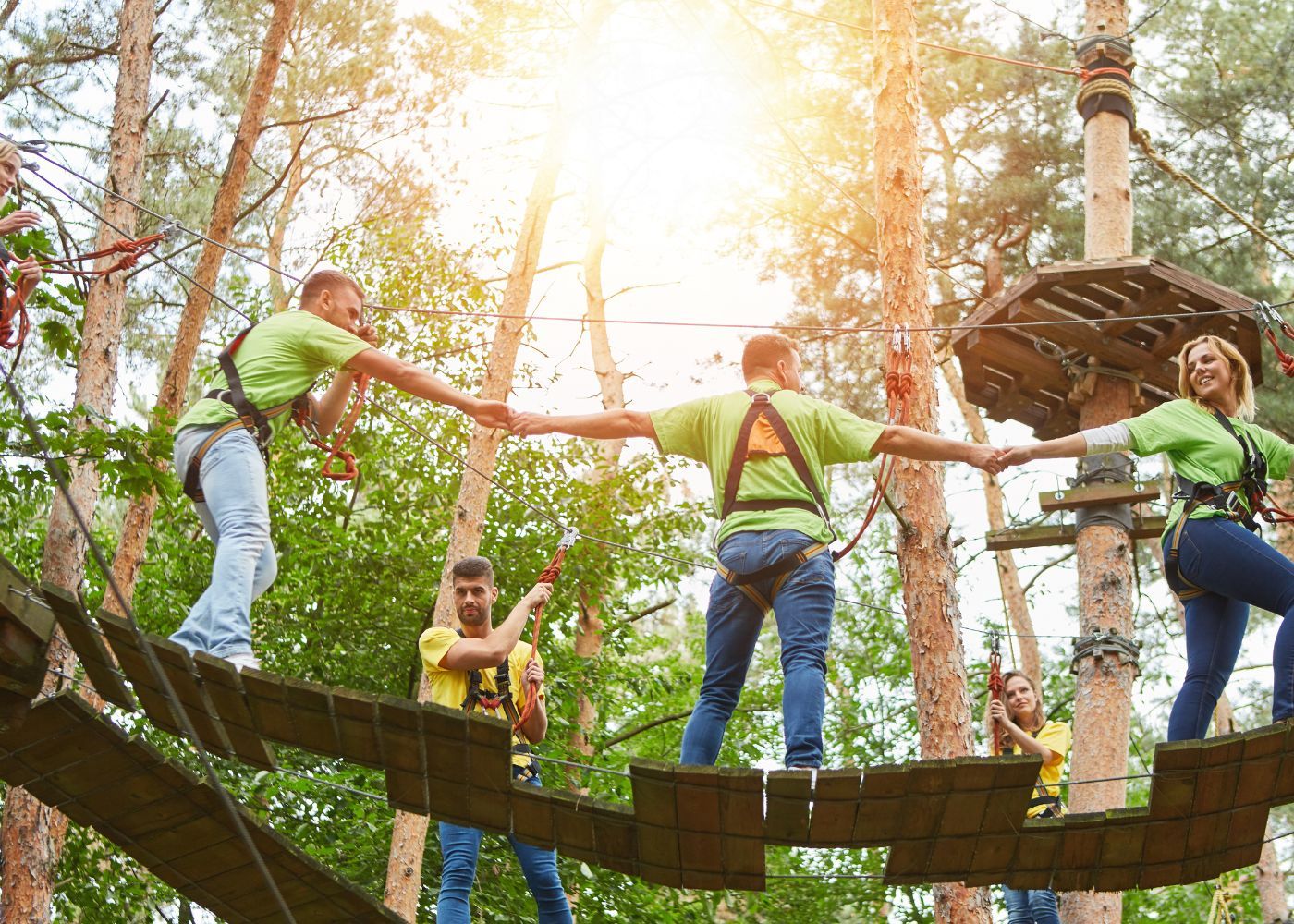 Une session d'accrobranche dans la forêt tropicale de Loterie Farm