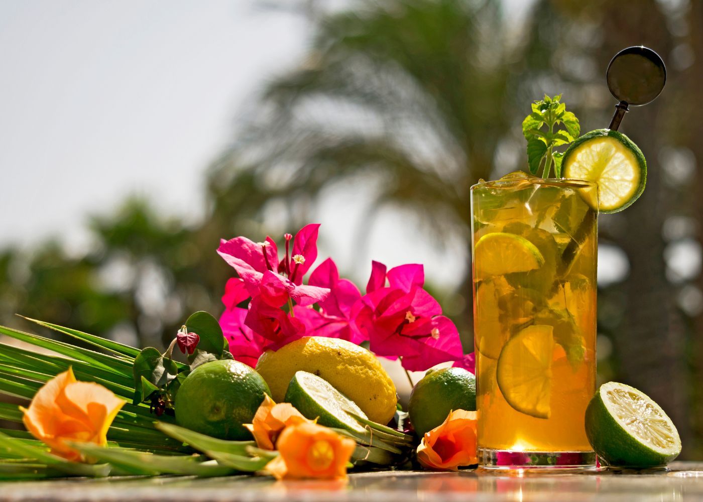 Un cocktail de Loterie Farm