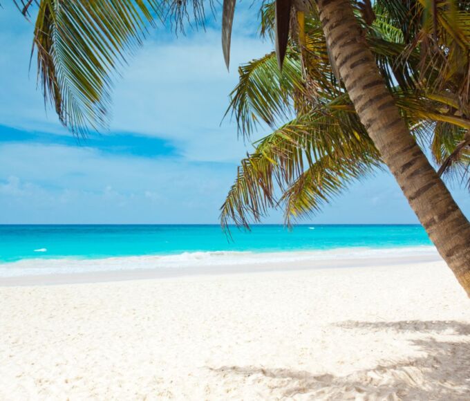 preparer voyage caraibes