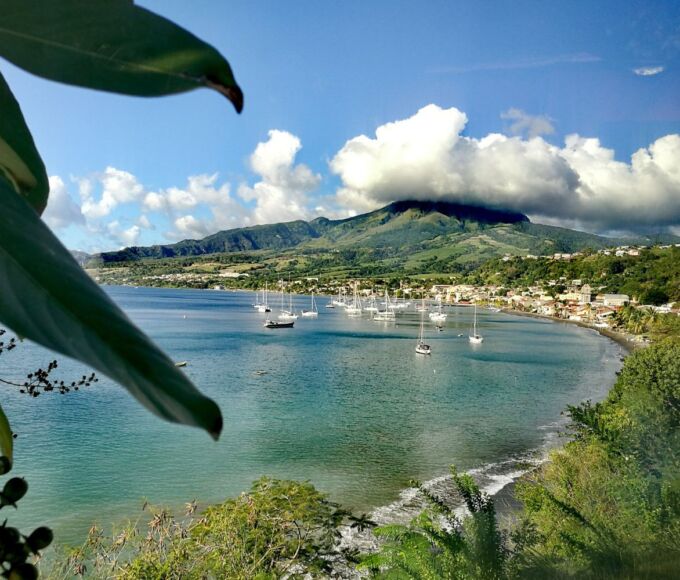 raisons choisir martinique