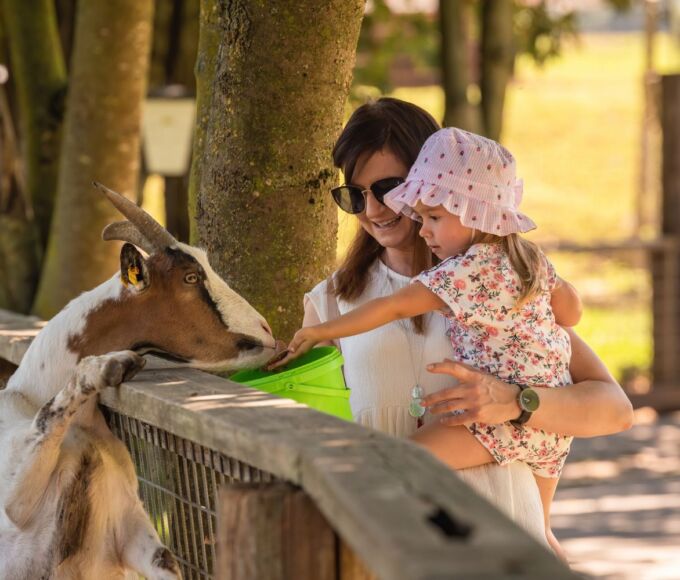 activites familiales antilles2