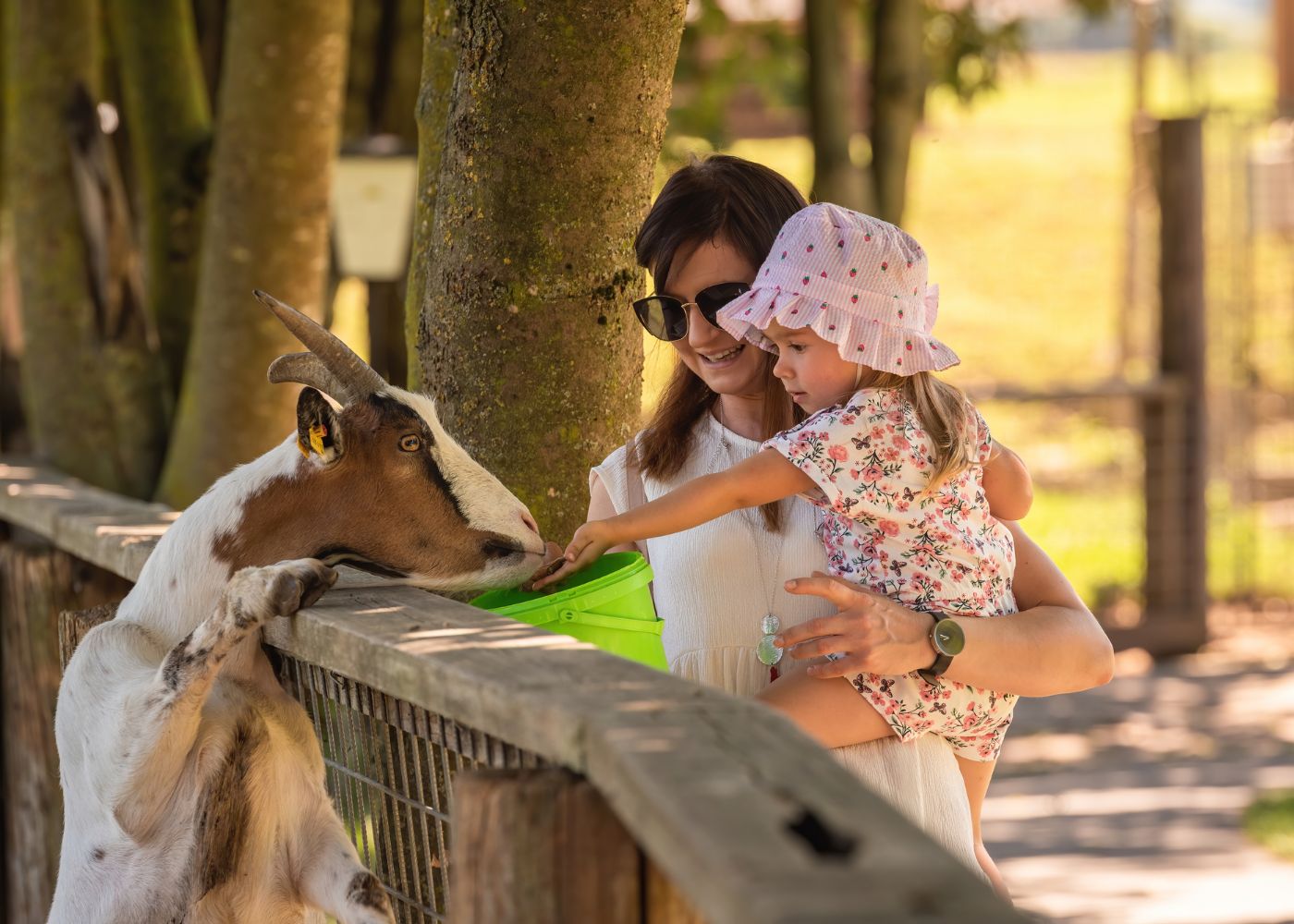 activites familiales antilles2