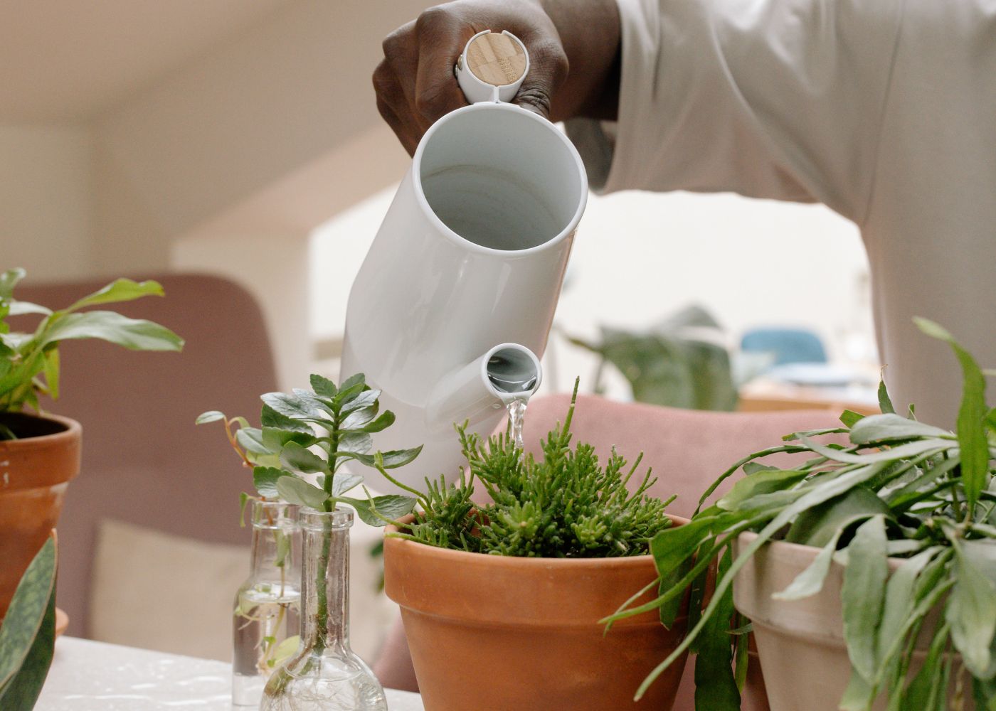 arrosage plantes vacances