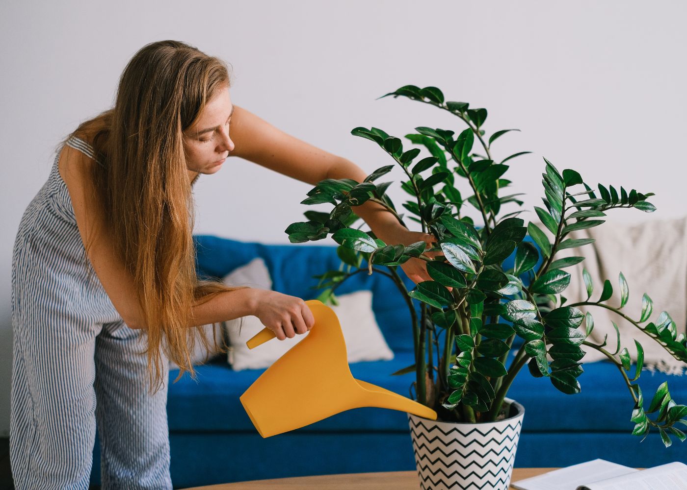 arrosage plantes vacances2