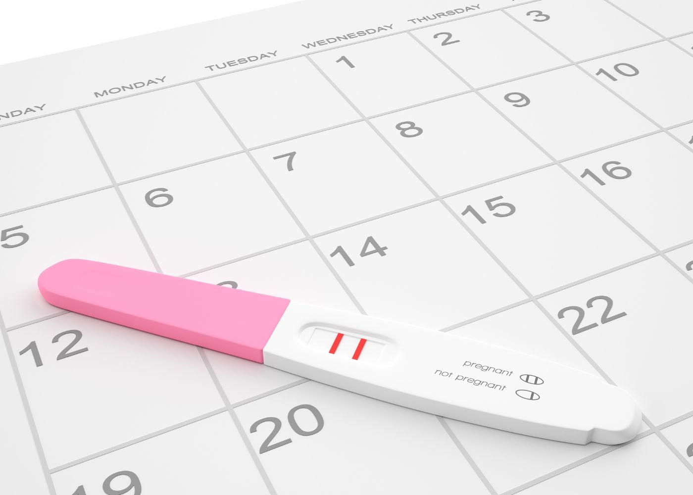 grossesse et voyage2