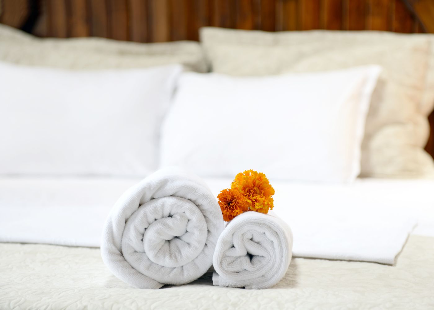 meilleurs hotels saint martin2