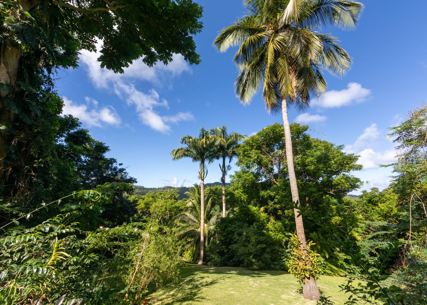 raisons partir antilles