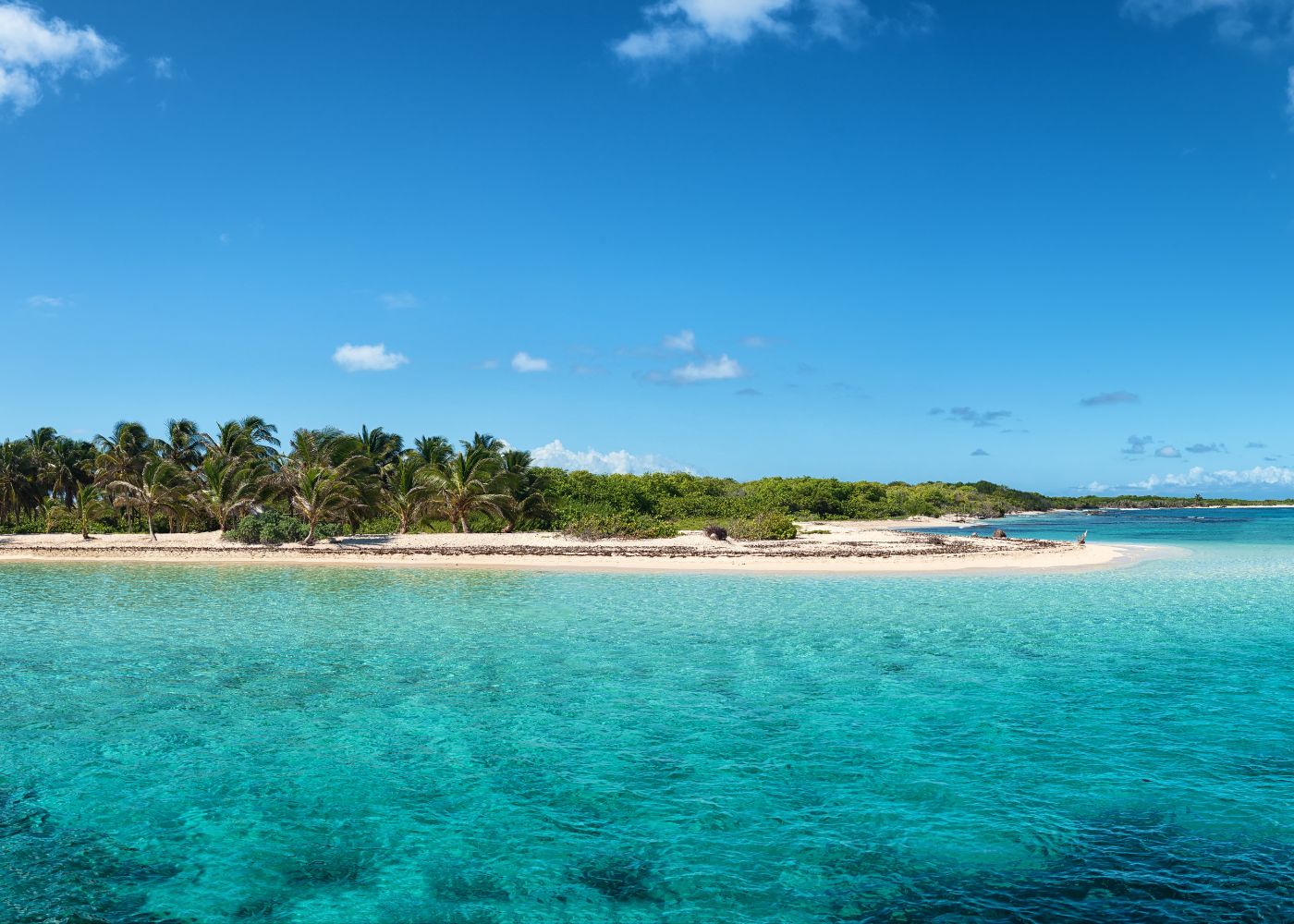 raisons partir antilles2