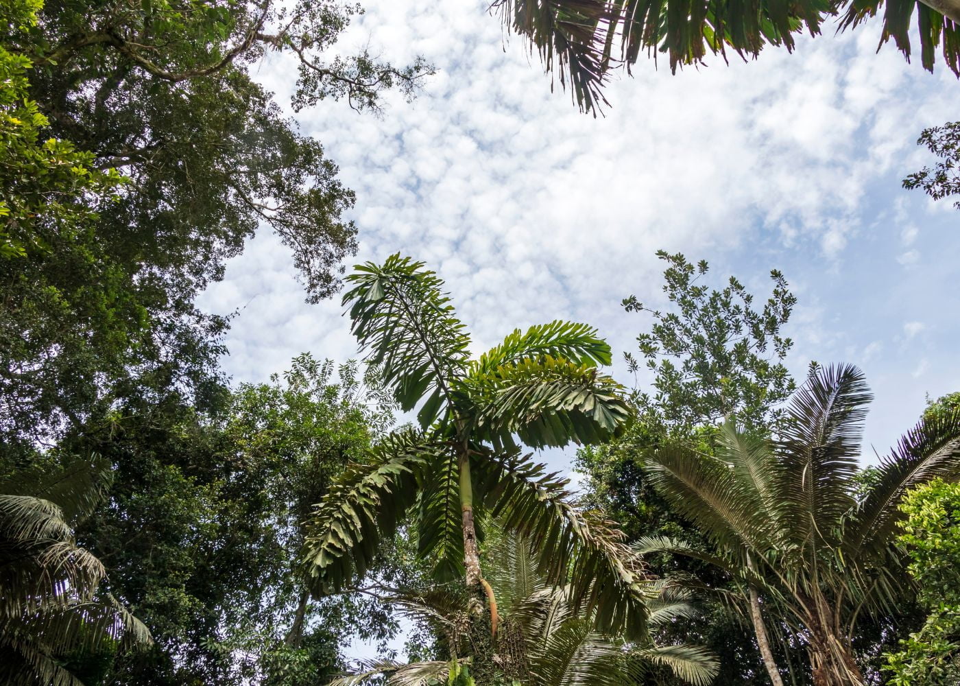 sejour eco responsable caraibes2