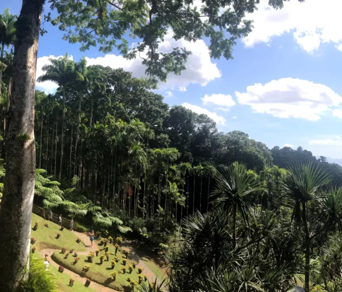 5 lieux meconnus martinique2