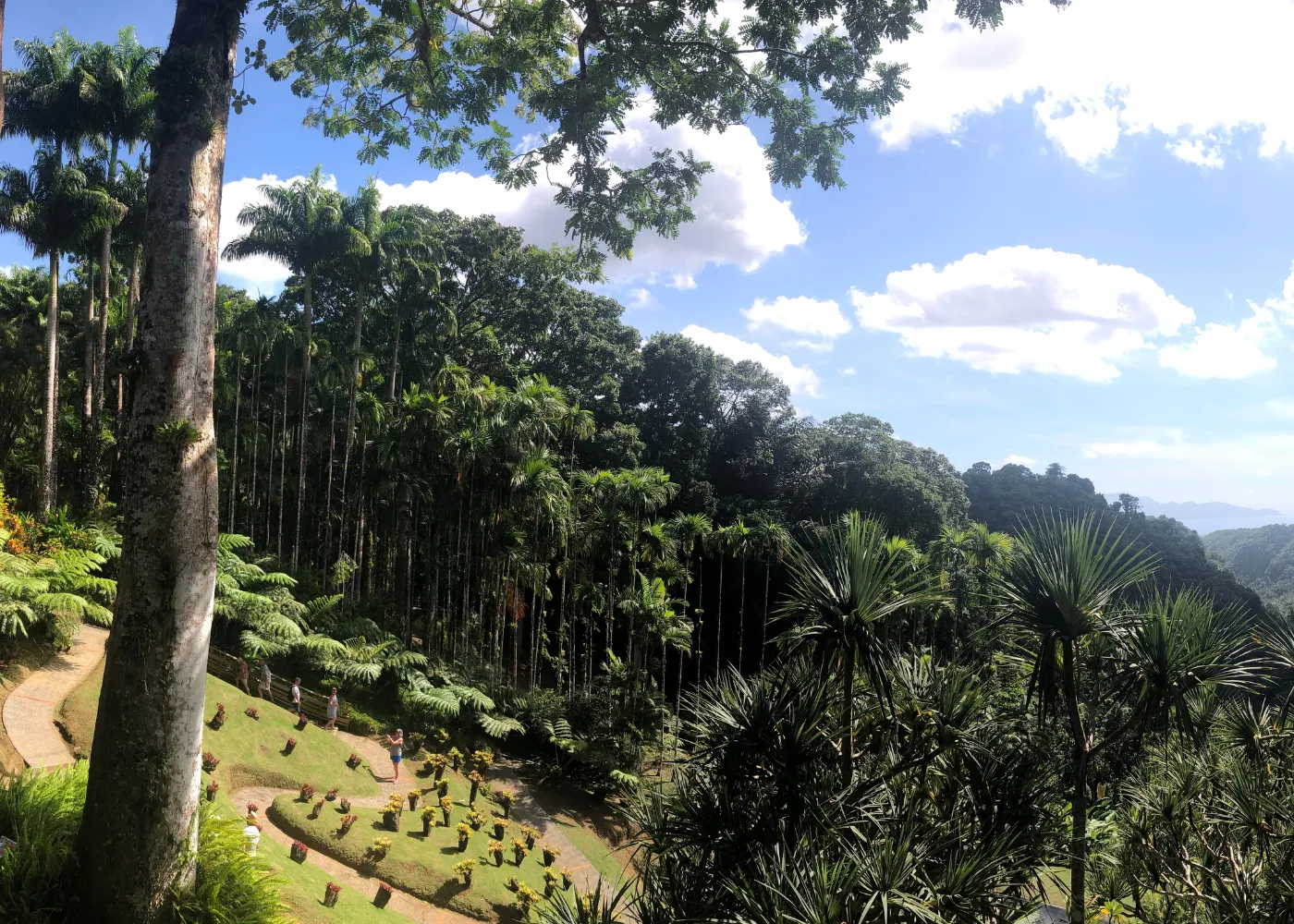 5 lieux meconnus martinique2