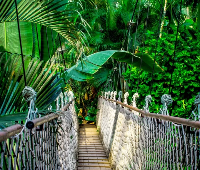 activites originales martinique2