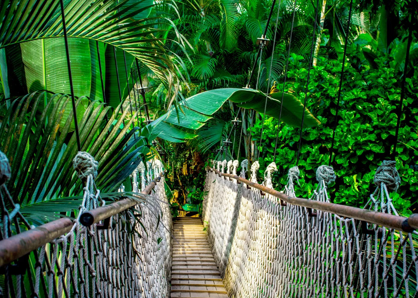 activites originales martinique2