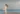antilles voyage de noces