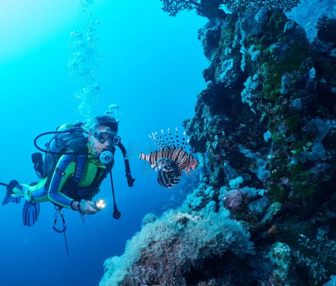 bapteme plongee guadeloupe1