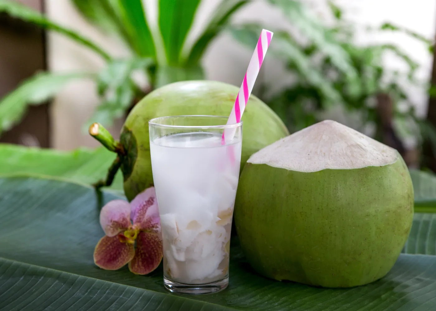 boissons martinique2