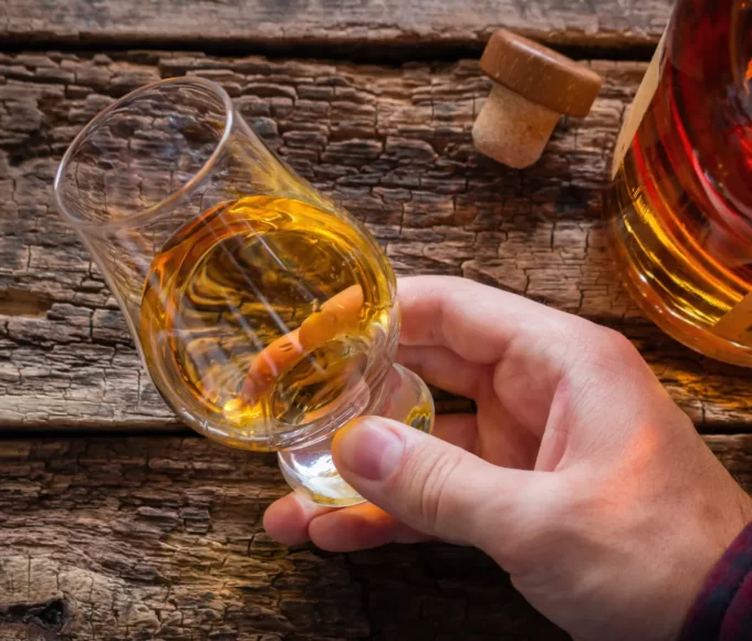 degustation rhum guadeloupe